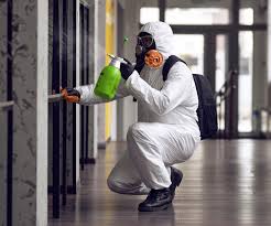 Mold Remediation for Rental Properties in Lake Arrowhead, CA